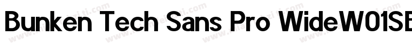Bunken Tech Sans Pro WideW01SB字体转换